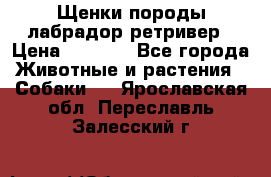 Щенки породы лабрадор ретривер › Цена ­ 8 000 - Все города Животные и растения » Собаки   . Ярославская обл.,Переславль-Залесский г.